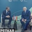 Связи, основанные на авторитете А. Лукашенко. Как Беларусь и Сербия укрепляют сотрудничество