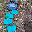 В Смолевичском районе задержали оптового наркокурьера – у него обнаружено 4 кг мефедрона