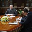 Лукашенко доложили о выполнении его поручения по преодолению последствий аварии на Чернобыльской АЭС