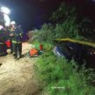 ДТП под Жабинкой: автомобиль врезался в дерево, погиб пассажир
