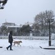Из-за прошедшего снегопада сотни домов в Греции шестые сутки остаются без электричества