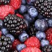 Wildberries сменил название своего сайта на русскоязычное «Ягодки»