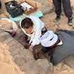 В Египте обнаружены кувшины с вином старше 5 тыс. лет