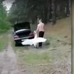 Мужчина из Новополоцка запихивал лебедя в багажник: теперь нарушителю грозит огромный штраф и арест