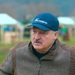 «Европейцы не хотят войны». О чем Лукашенко говорил с руководителями СМИ и журналистами на полях впервые прошедшего чемпионата по колке дров?