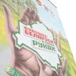 В Пинске появился мурал «Будущее Беларуси в твоих руках» – это подарок к «Марафону единства»