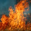 За сутки в Гомельской области произошло два пожара с участием детей