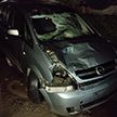 В Бобруйске арестован водитель, который, будучи пьяным, насмерть сбил пешехода и скрылся