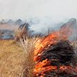 На севере Аргентины из-за лесных пожаров ввели режим чрезвычайного положения