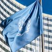 В Германии не поддержали идею лишить Россию права вето в Совбезе ООН