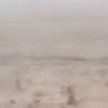 На Саудовскую Аравию обрушились ливни, в пустыне прошел град