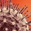 Медики рассказали о возможности корректировать вакцину при мутации вируса