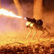 В США представили оснащенного огнеметом робота-собаку