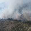 МЧС продолжает бороться с лесным пожаром на Ольманских болотах