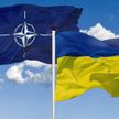 Украина не требует вступления в НАТО, заявил посол страны в Турции