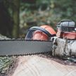 В Чашникском районе при лесозаготовке погиб тракторист