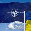 Шольц: введение беспилотной зоны над Украиной приведет к масштабной эскалации
