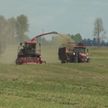 В Беларуси идет активная заготовка кормов для сельского хозяйства