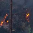 Сильный лесной пожар в Альпах не удается потушить