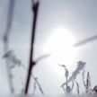 Жители Китая наблюдали необычное природное явление – тройное Солнце