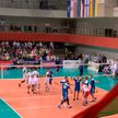 Стартует мужской ЧЕ по волейболу: сборная Беларуси сыграет в Любляне