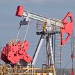 В Гомельской области открыли новое нефтяное месторождение