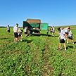 Футболисты «ТОРПЕДО-БЕЛАЗ» провели «тренировку» на колхозном поле