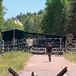 Пьяный военный из Украины попытался пересечь границу с Беларусью, угрожая гранатой