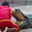 Во время представления дрессировщик свалился в пруд с крокодилами