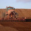 В Беларуси посеяно более миллиона гектаров озимых зерновых