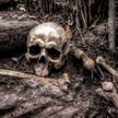 На пляже в Дагестане найдены человеческие останки