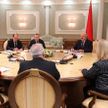 «Беларусь крайне заинтересована в выстраивании взаимоуважительных отношений с ЕС» – Лукашенко на встрече с министрами иностранных дел Швеции и Финляндии