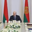 Лукашенко: белорусская армия боеспособна и может нанести противнику неприемлемый ущерб