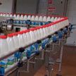 Минсельхозпрод: обеспечение внутреннего рынка молочной продукцией – приоритетная задача