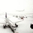Москву накрыло снегом. «Аэрофлот» отменил вечерние рейсы с Минском