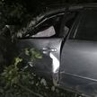 Автомобиль врезался в дерево в Гродно: водитель госпитализирован