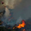 Лесные пожары бушуют под Мадридом. Пригороды испанской столицы эвакуируют