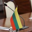Возобновление авиаперелетов, АЭС и выборы – о чем говорили главы МИД Беларуси и Литвы