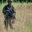 Почему Украина стягивает войска к границе с Беларусью, рассказали в ЦРУ