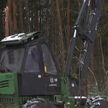 Погода наломала дров, как извлечь из этого прибыль? В Могилевской области обсуждали последствия урагана