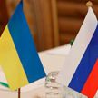 Президент Финляндии: ОБСЕ может стать переговорной площадкой по Украине в 2025 году