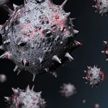 Врач дал прогноз по срокам «падения» «омикрон»-штамма коронавируса