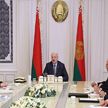 Президент Беларуси считает, что в 2024 году нужно железобетонно определиться с системой поступления