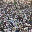 В Бангладеш проходят протесты против сожжения Корана