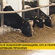 КГК и Генпрокуратура изучают проблему падежа скота в сельхозорганизациях