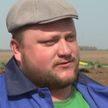 В Беларуси продолжается сев ранних яровых и многолетних трав