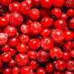 Ученые назвали ягоду, способствующую улучшению работы мозга