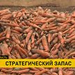 В Беларуси завершается закладка стабфондов плодоовощной продукции