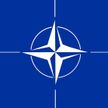 НАТО не будет размещать войска в Украине