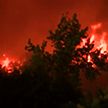 Режим ЧС введён в США из-за лесных пожаров